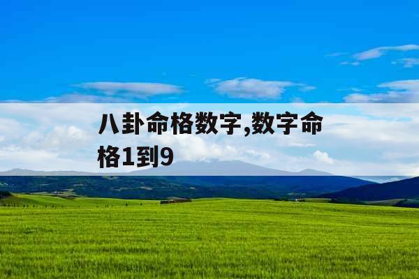 八卦命格数字,数字命格1到9