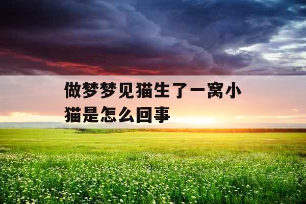 做梦梦见猫生了一窝小猫是怎么回事