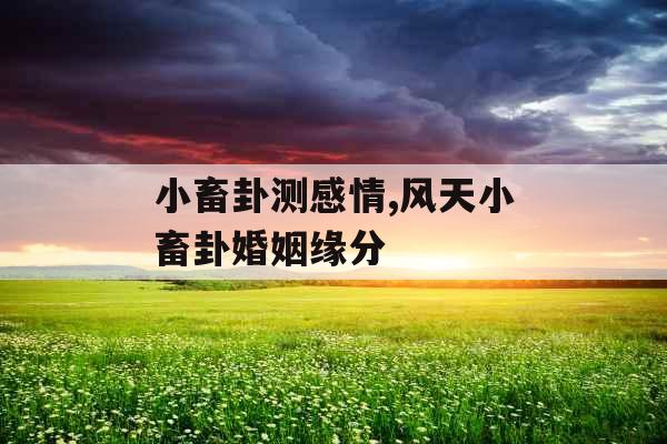 小畜卦测感情,风天小畜卦婚姻缘分