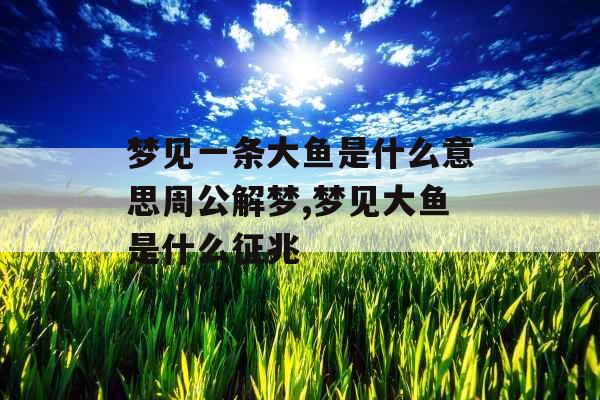 梦见一条大鱼是什么意思周公解梦,梦见大鱼是什么征兆 梦见一条大鱼是什么意思周公解梦,梦见大鱼是什么征兆