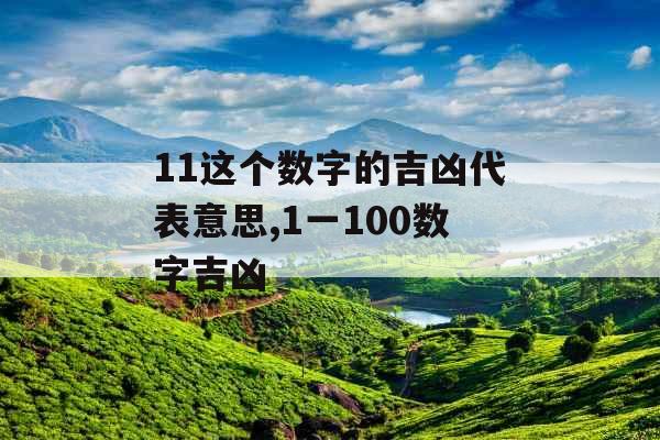 11这个数字的吉凶代表意思,1一100数字吉凶