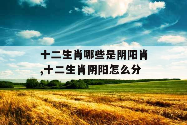 十二生肖哪些是阴阳肖,十二生肖阴阳怎么分