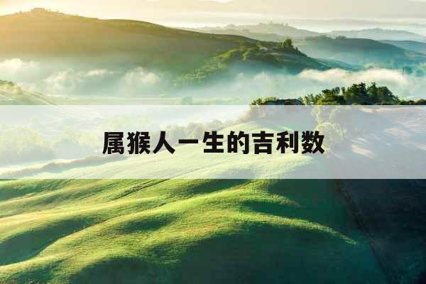 属猴人一生的吉利数