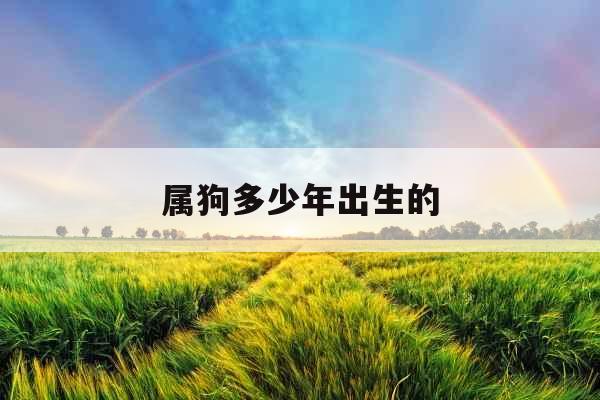 属狗多少年出生的