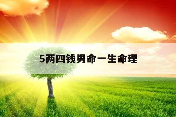 5两四钱男命一生命理