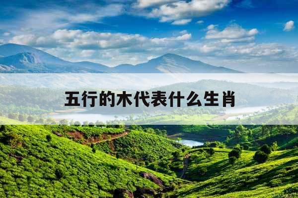 五行的木代表什么生肖