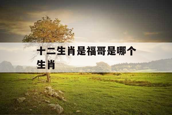 十二生肖是福哥是哪个生肖 十二生肖是福哥是哪个生肖