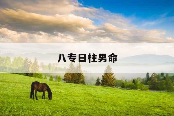 八专日柱男命