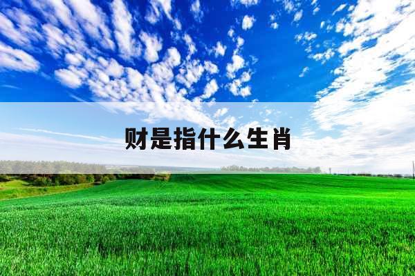 财是指什么生肖
