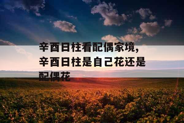 辛酉日柱看配偶家境,辛酉日柱是自己花还是配偶花 辛酉日柱看配偶家境,辛酉日柱是自己花还是配偶花