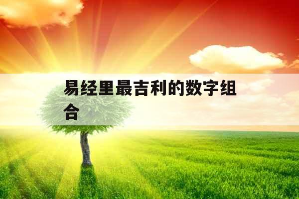 易经里最吉利的数字组合