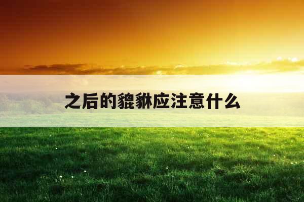 之后的貔貅应注意什么