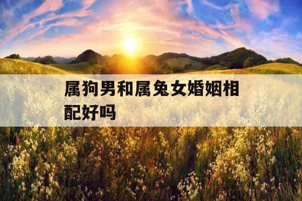 属狗男和属兔女婚姻相配好吗