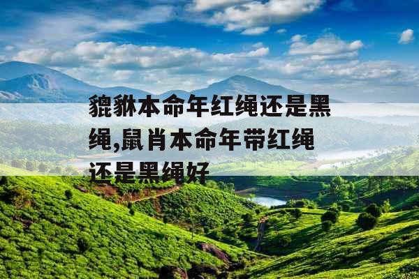 貔貅本命年红绳还是黑绳,鼠肖本命年带红绳还是黑绳好