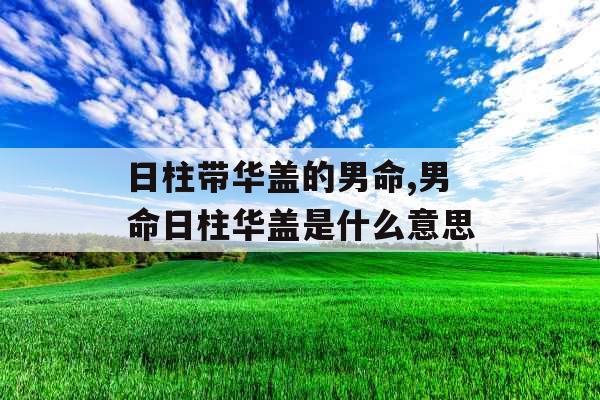 日柱带华盖的男命,男命日柱华盖是什么意思