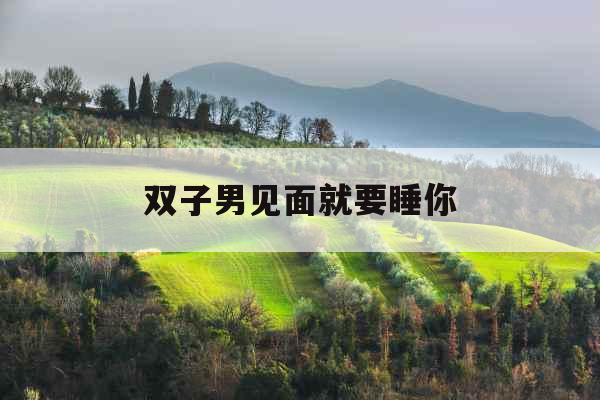 双子男见面就要睡你