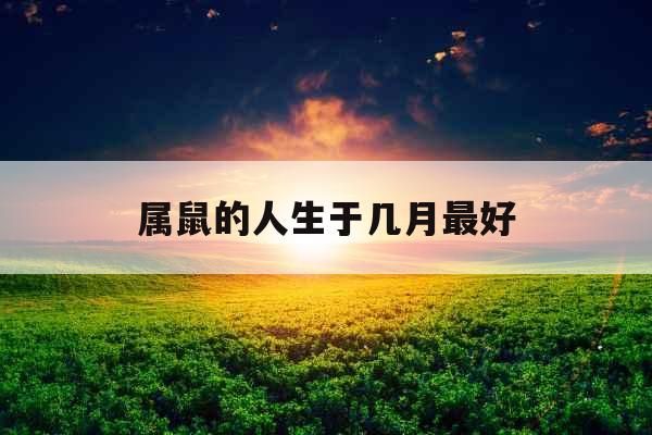 属鼠的人生于几月最好