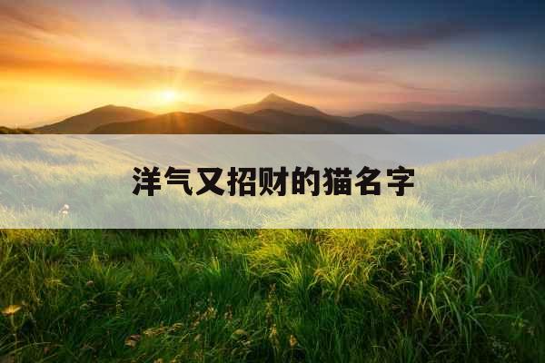 洋气又招财的猫名字