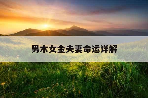 男木女金夫妻命运详解