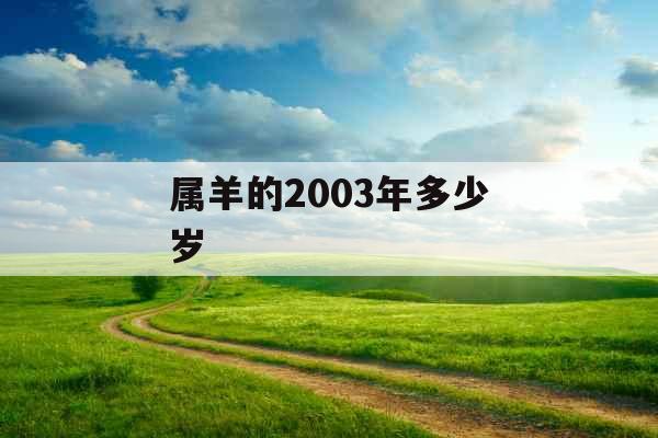 属羊的2003年多少岁