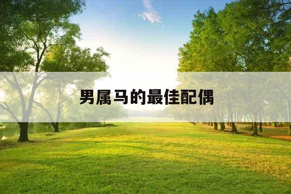 男属马的最佳配偶