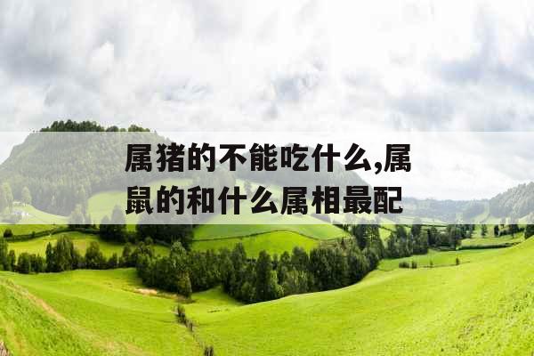 属猪的不能吃什么,属鼠的和什么属相最配