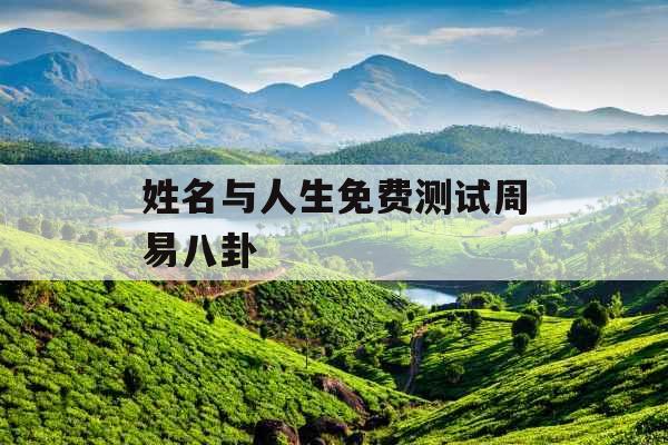 姓名与人生免费测试周易八卦