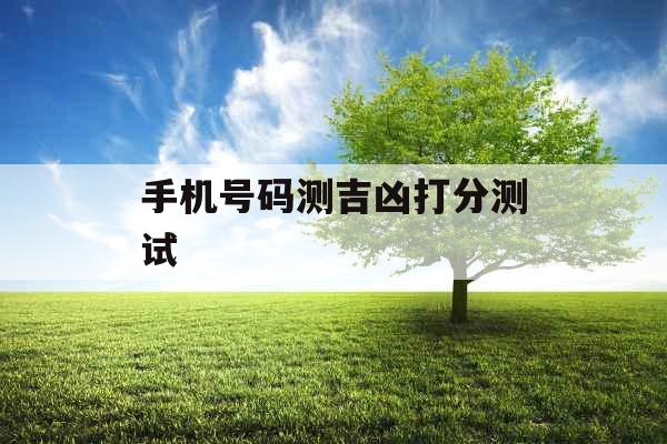手机号码测吉凶打分测试