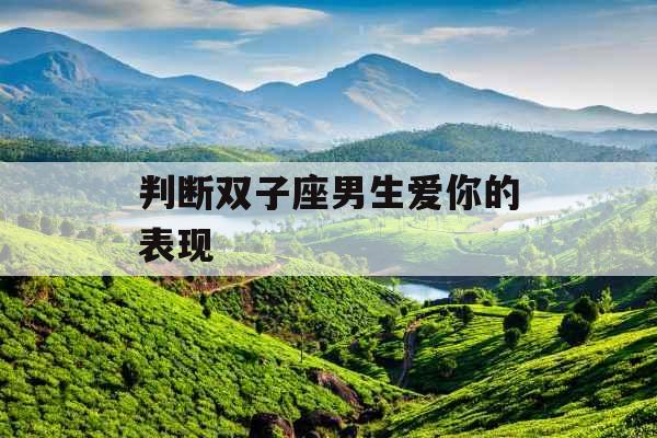 判断双子座男生爱你的表现