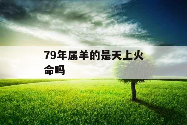 79年属羊的是天上火命吗