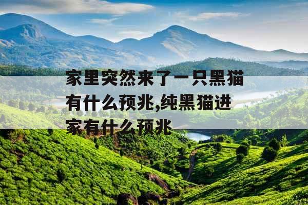 家里突然来了一只黑猫有什么预兆,纯黑猫进家有什么预兆