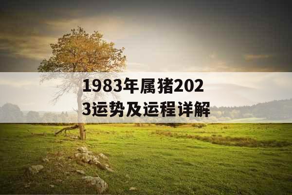 1983年属猪2023运势及运程详解