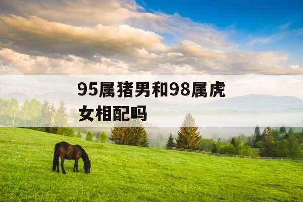 95属猪男和98属虎女相配吗