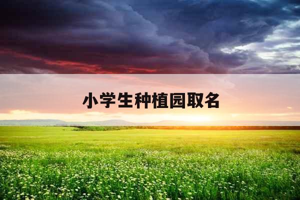 小学生种植园取名
