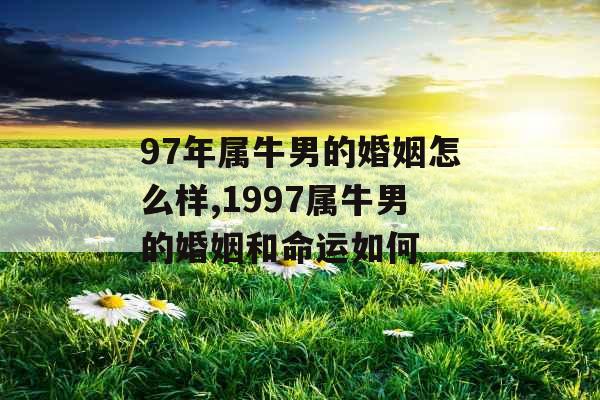 97年属牛男的婚姻怎么样,1997属牛男的婚姻和命运如何