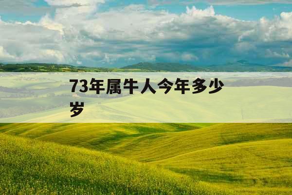 73年属牛人今年多少岁