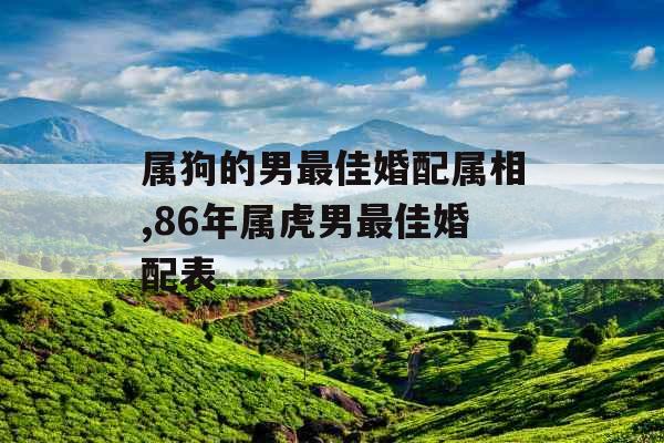 属狗的男最佳婚配属相,86年属虎男最佳婚配表