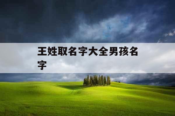 王姓取名字大全男孩名字