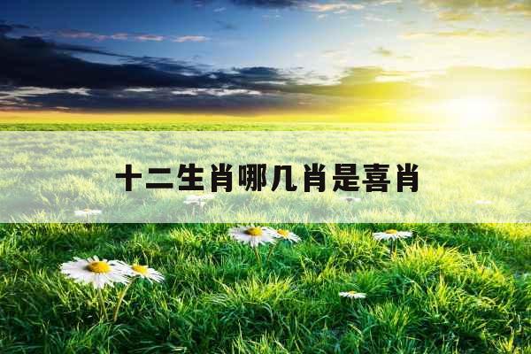 十二生肖哪几肖是喜肖