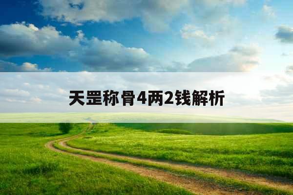 天罡称骨4两2钱解析