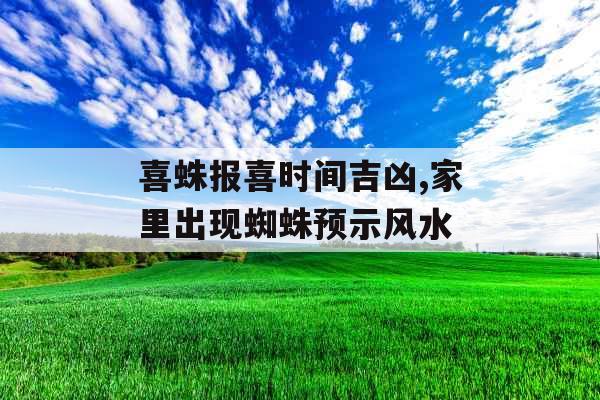 喜蛛报喜时间吉凶,家里出现蜘蛛预示风水