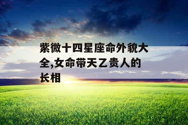 紫微十四星座命外貌大全,女命带天乙贵人的长相