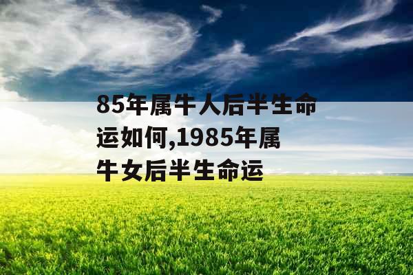 85年属牛人后半生命运如何,1985年属牛女后半生命运