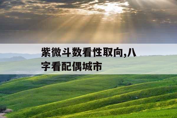 紫微斗数看性取向,八字看配偶城市