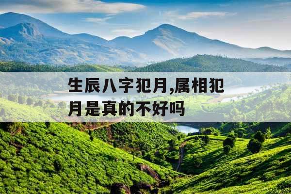 生辰八字犯月,属相犯月是真的不好吗