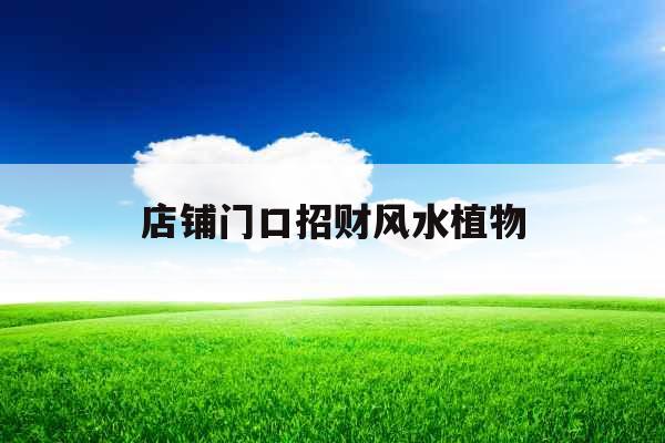 店铺门口招财风水植物