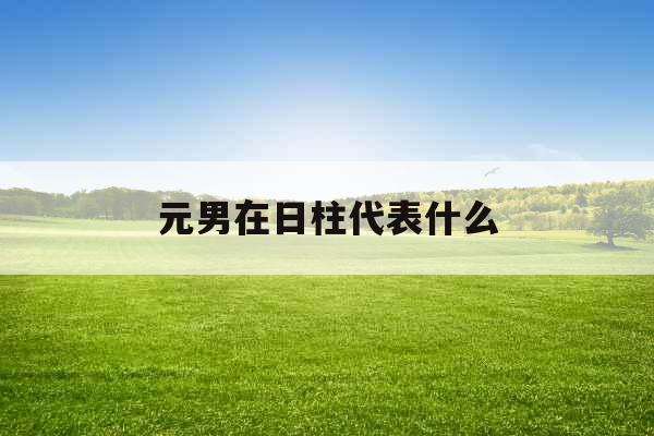 元男在日柱代表什么 元男在日柱代表什么