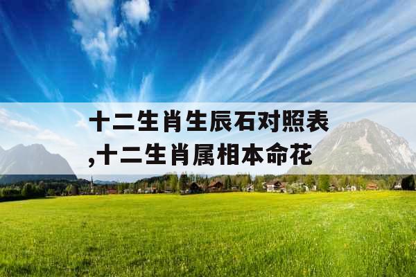 十二生肖生辰石对照表,十二生肖属相本命花