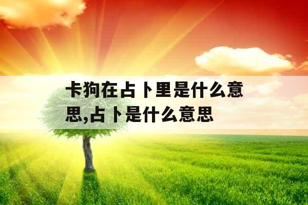 卡狗在占卜里是什么意思,占卜是什么意思