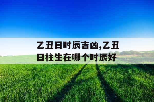 乙丑日时辰吉凶,乙丑日柱生在哪个时辰好